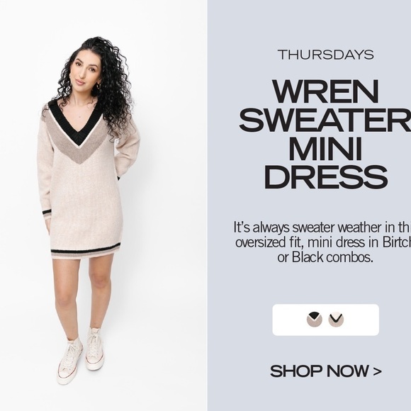 SMASH + Tess Wren Dress- Birch Combo Sweater Dress - Picture 3 of 13